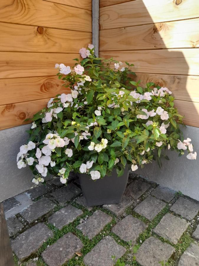 Le Gite De Campagnette Avec Son Jacuzzi Privatif Saint-Martin-Choquel Bagian luar foto